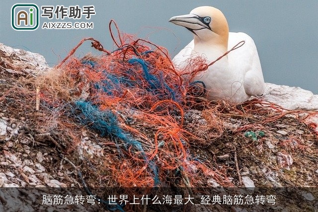 脑筋急转弯：世界上什么海最大_经典脑筋急转弯