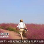 脑筋急转弯：中国夫妇在意大利买东西_搞笑脑筋急转弯