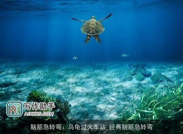 脑筋急转弯：乌龟过火车站_经典脑筋急转弯