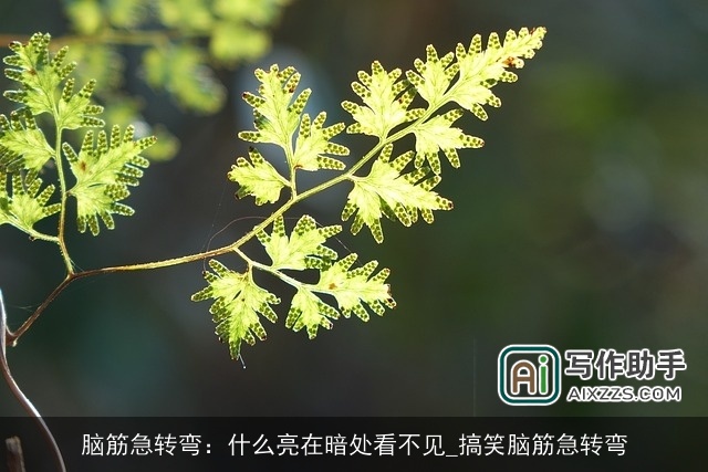 脑筋急转弯：什么亮在暗处看不见_搞笑脑筋急转弯