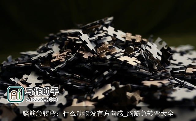 脑筋急转弯：什么动物没有方向感_脑筋急转弯大全