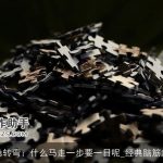 脑筋急转弯：什么马走一步要一日呢_经典脑筋急转弯