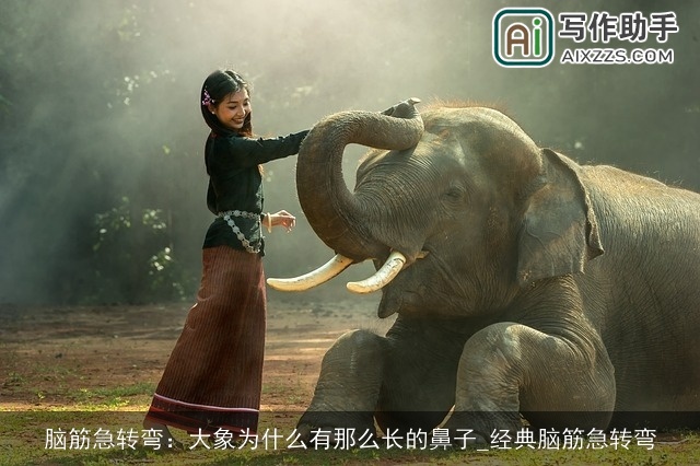 脑筋急转弯：大象为什么有那么长的鼻子_经典脑筋急转弯