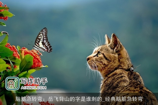 脑筋急转弯：岳飞背山的字是谁刺的_经典脑筋急转弯