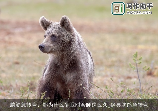 脑筋急转弯：熊为什么冬眠时会睡这么久_经典脑筋急转弯