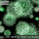 脑筋急转弯：白萝卜喝醉酒之后会变成什么呢_搞笑脑筋急转弯