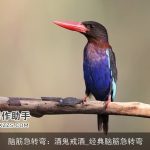 脑筋急转弯：酒鬼戒酒_经典脑筋急转弯