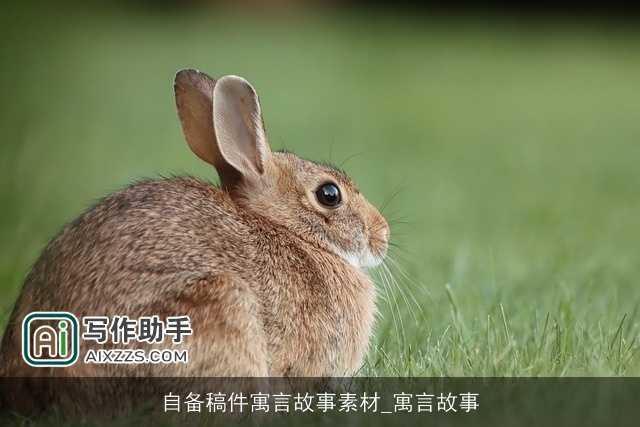 自备稿件寓言故事素材_寓言故事