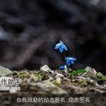 自我鼓励的励志签名_励志签名