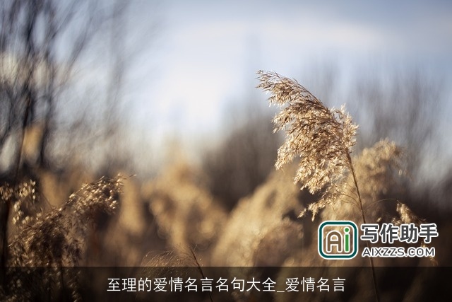 至理的爱情名言名句大全_爱情名言