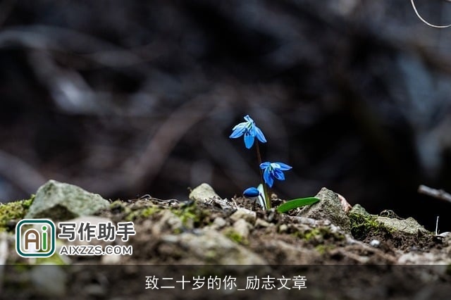 致二十岁的你_励志文章