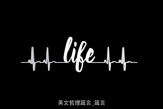 英文哲理箴言_箴言