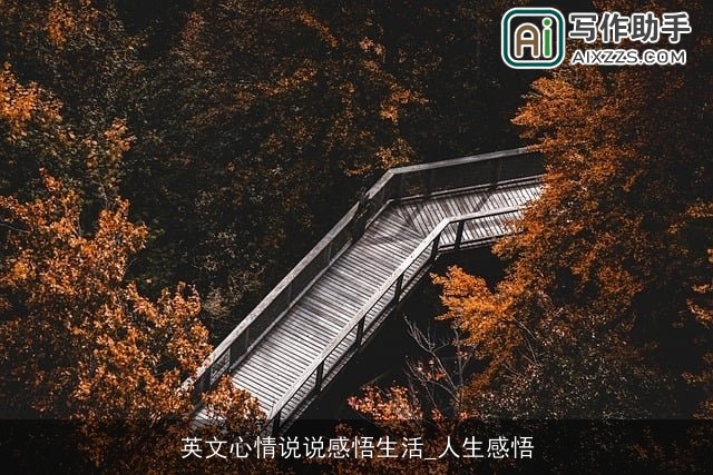 英文心情说说感悟生活_人生感悟