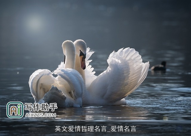 英文爱情哲理名言_爱情名言