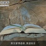 英文爱情语录_英语名言