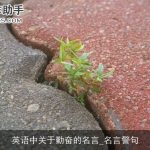 英语中关于勤奋的名言_名言警句
