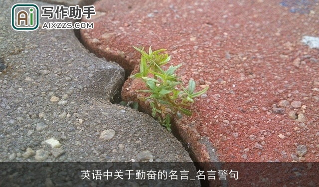 英语中关于勤奋的名言_名言警句