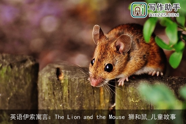英语伊索寓言：The Lion and the Mouse 狮和鼠_儿童故事