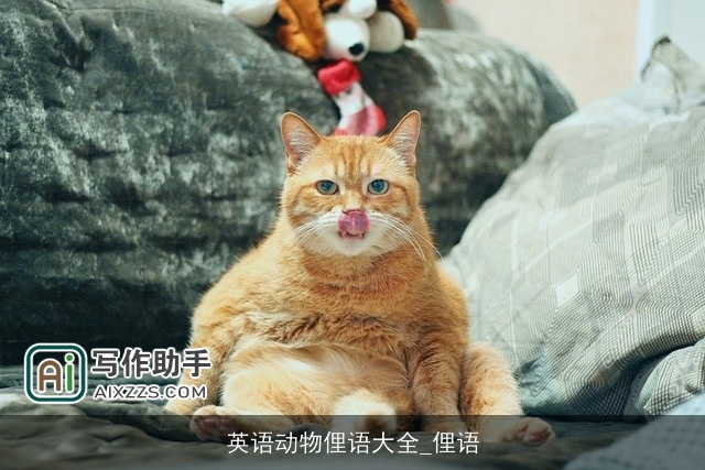 英语动物俚语大全_俚语