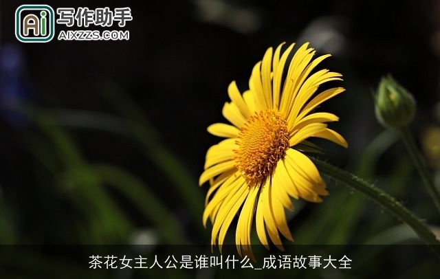 茶花女主人公是谁叫什么_成语故事大全
