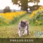 萨迪名言名句_名言名句