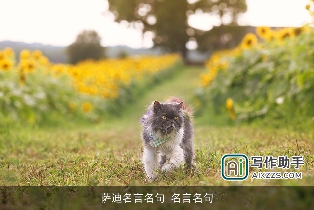 萨迪名言名句_名言名句