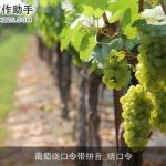 葡萄绕口令带拼音_绕口令