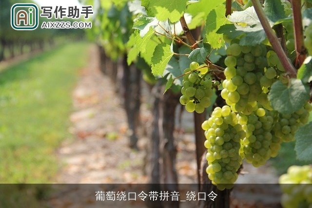 葡萄绕口令带拼音_绕口令