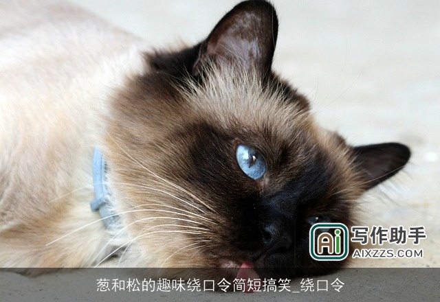 葱和松的趣味绕口令简短搞笑_绕口令