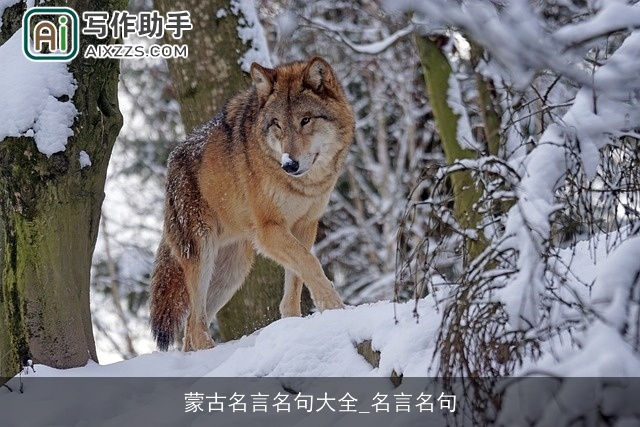蒙古名言名句大全_名言名句