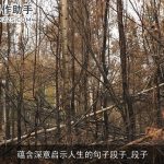 蕴含深意启示人生的句子段子_段子