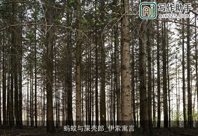 蚂蚁与屎壳郎_伊索寓言