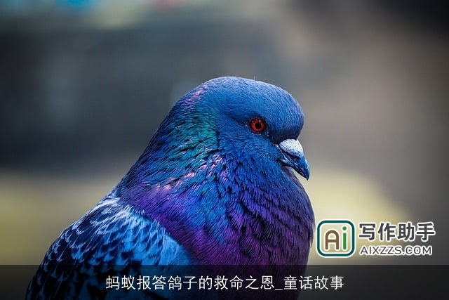 蚂蚁报答鸽子的救命之恩_童话故事