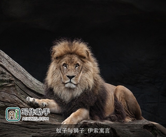 蚊子与狮子_伊索寓言