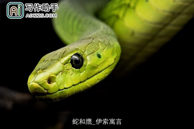 蛇和鹰_伊索寓言