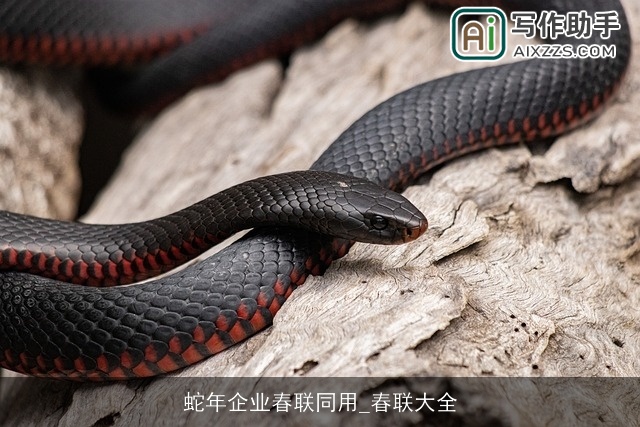 蛇年企业春联同用_春联大全