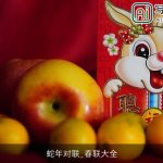 蛇年对联_春联大全