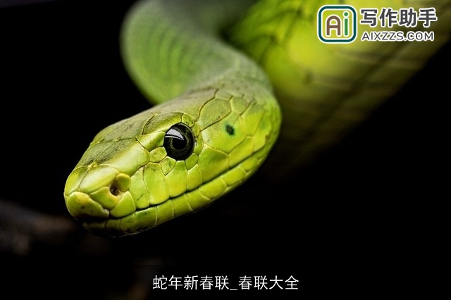 蛇年新春联_春联大全