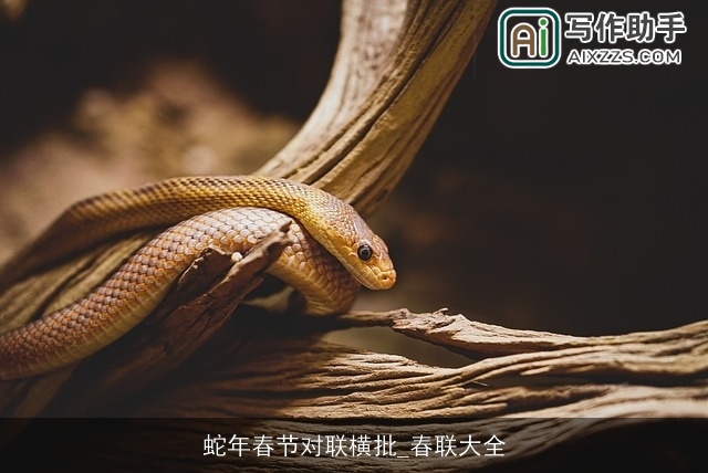 蛇年春节对联横批_春联大全