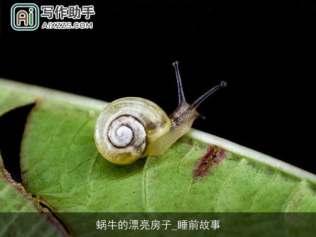 蜗牛的漂亮房子_睡前故事