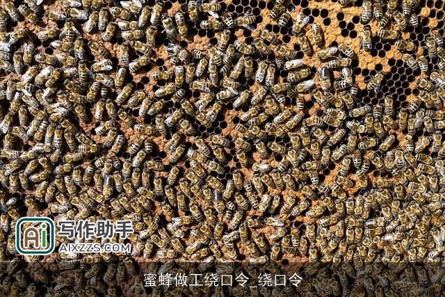 蜜蜂做工绕口令_绕口令
