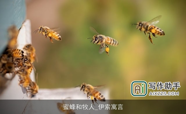 蜜蜂和牧人_伊索寓言