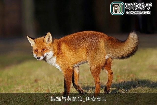 蝙蝠与黄鼠狼_伊索寓言