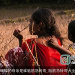 蝴蝶的母亲是谁脑筋急转弯_脑筋急转弯大全