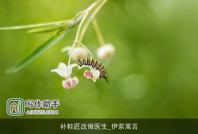 补鞋匠改做医生_伊索寓言