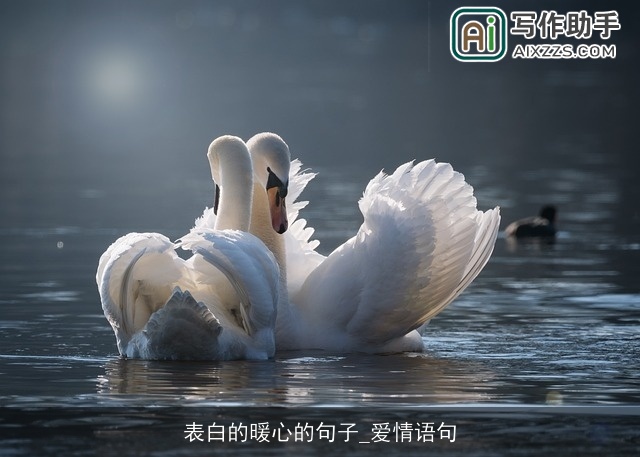 表白的暖心的句子_爱情语句