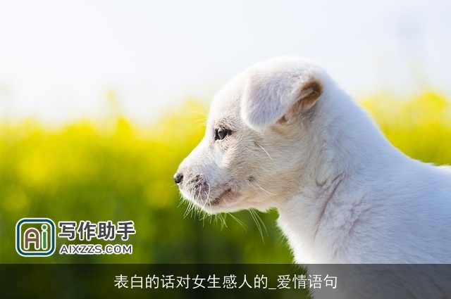 表白的话对女生感人的_爱情语句