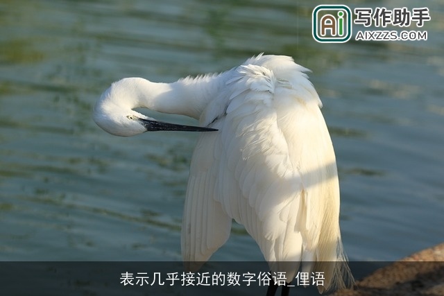 表示几乎接近的数字俗语_俚语