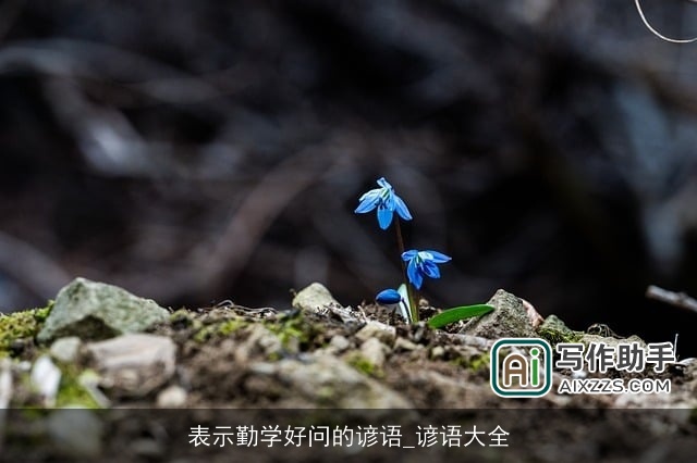表示勤学好问的谚语_谚语大全