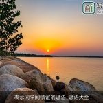 表示同学间情谊的谚语_谚语大全